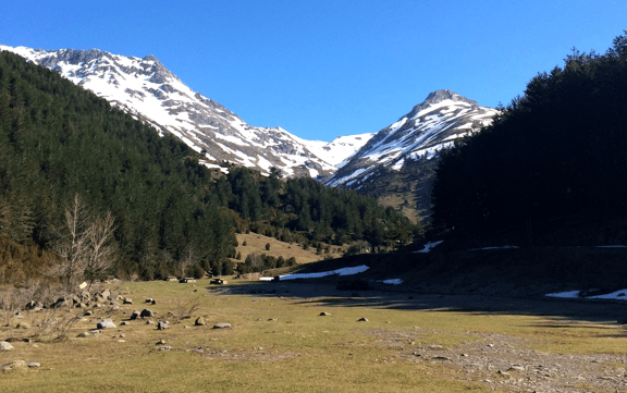 Guarrinza-3 | Turismo Valle de Hecho