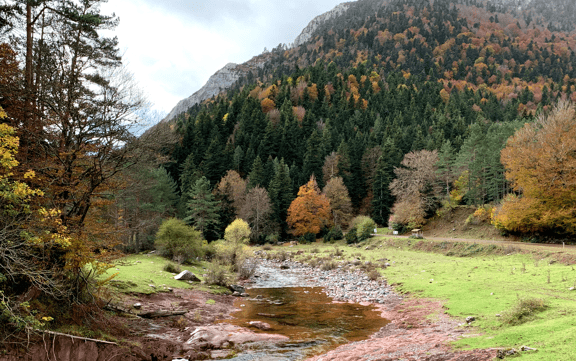 selva-de-oza-3 | Turismo Valle de Hecho
