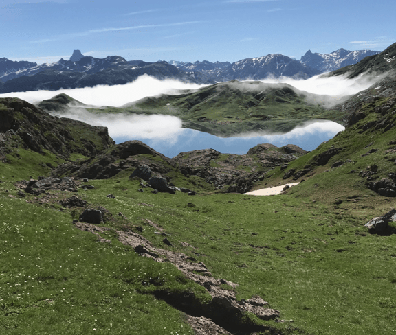 bisaurin | Turismo Valle de Hecho