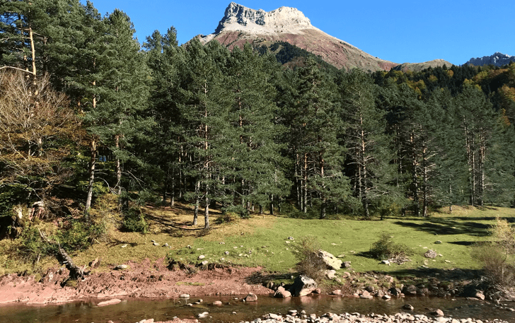 selva-de-oza-1 | Turismo Valle de Hecho