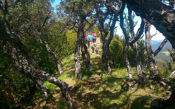 lapardina_03 | Turismo Valle de Hecho